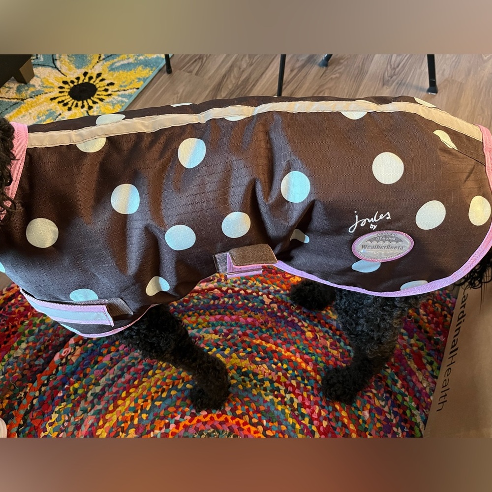 Large dog coat. Great condition, no rips or holes.